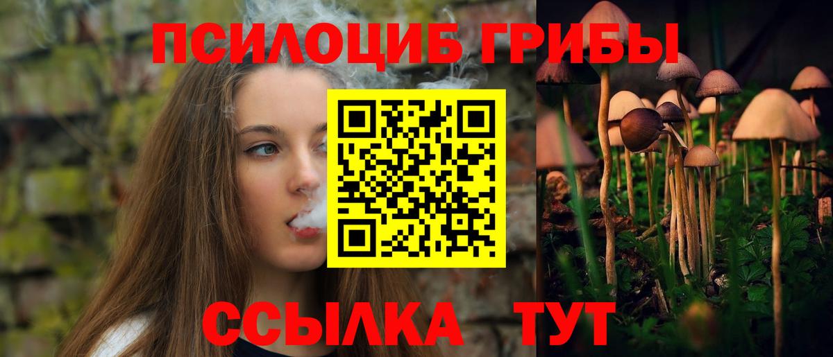 Псилоцибиновые грибы прущие грибы  Галлюциногенные грибы GOLDEN TEACHER  Корсаков  Вход с VPN 