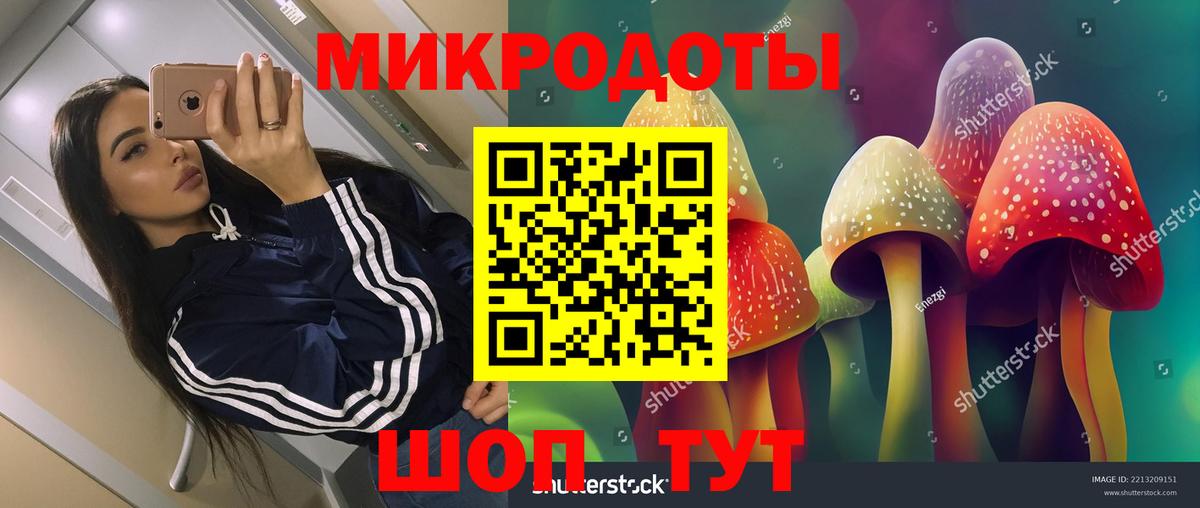 Галлюциногенные грибы MAGIC MUSHROOMS Корсаков